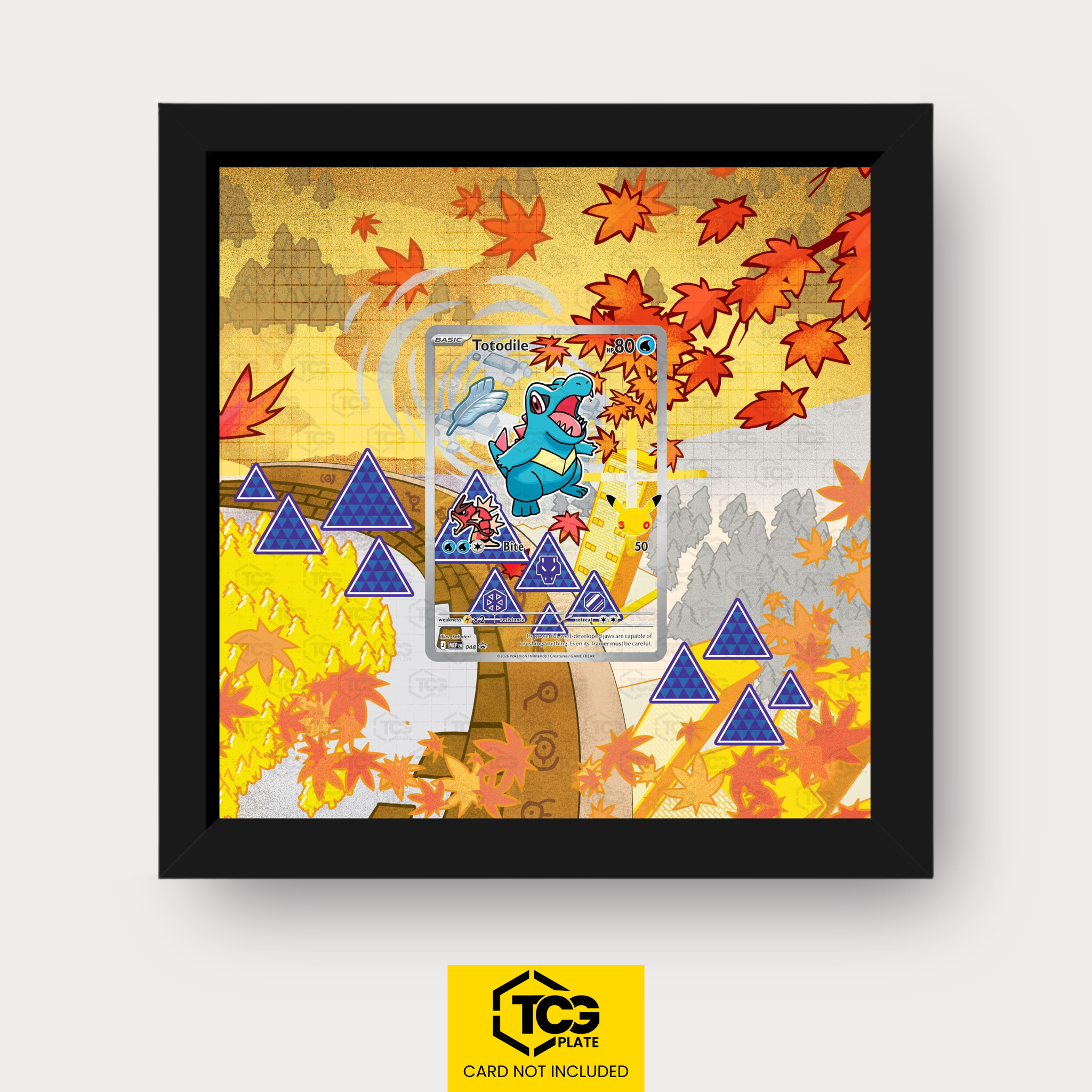 Frames® | Karnimani MEP 048