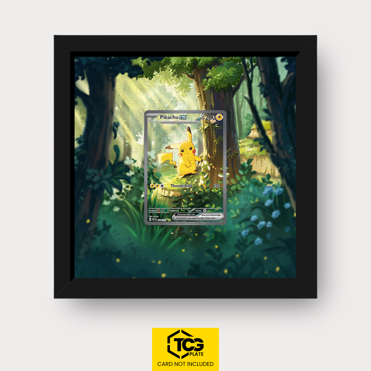 Frames® | Pikachu ex ASC 276