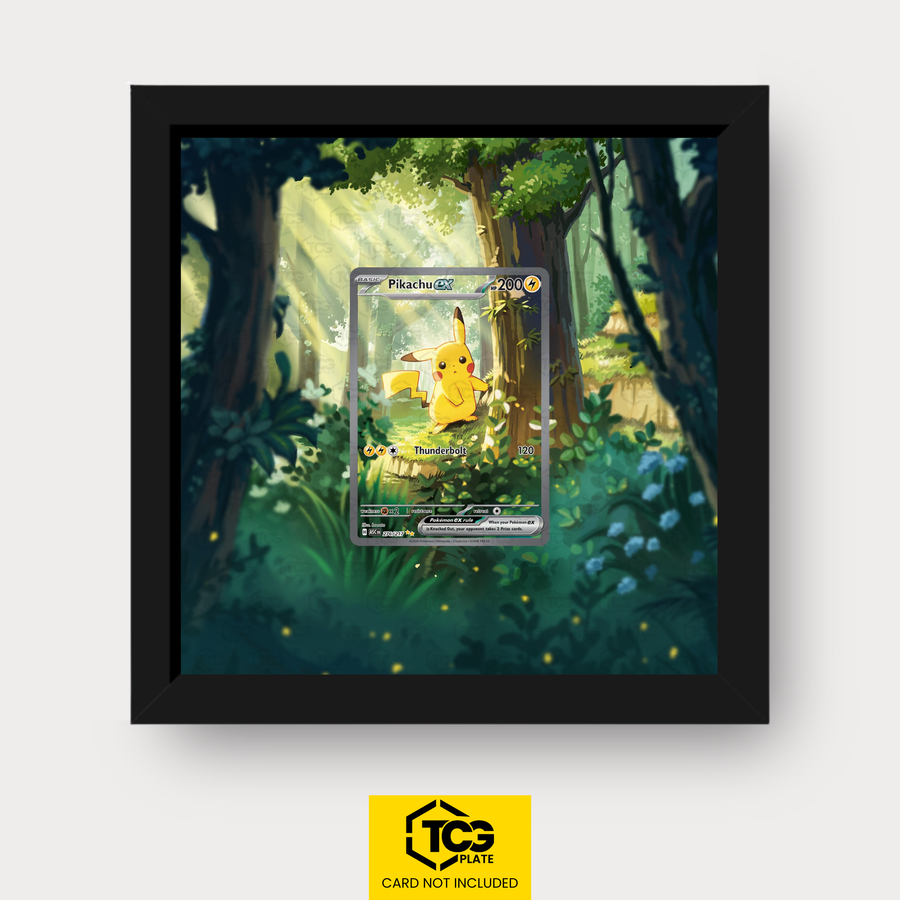 Frames® | Pikachu ex ASC 276