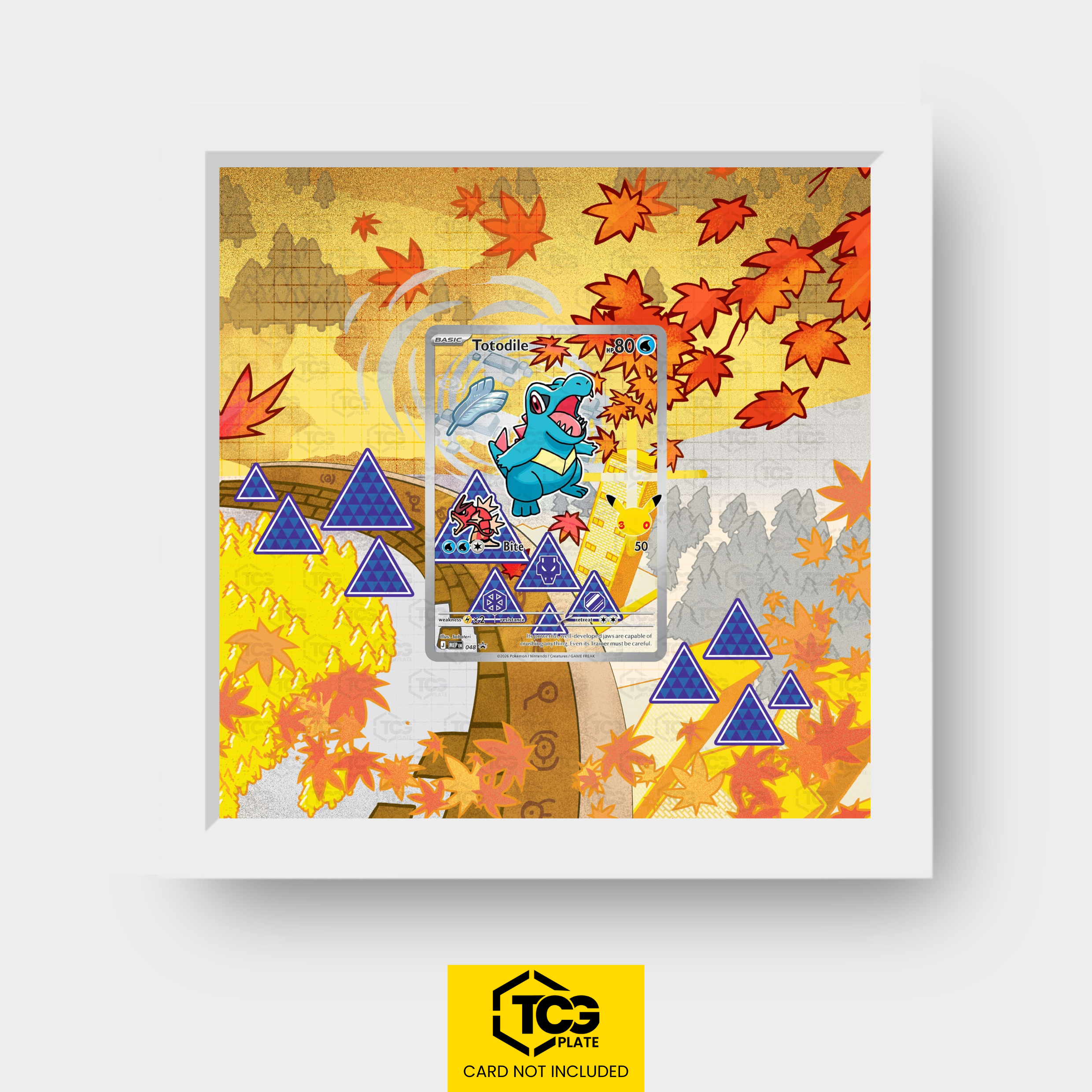Frames® | Karnimani MEP 048
