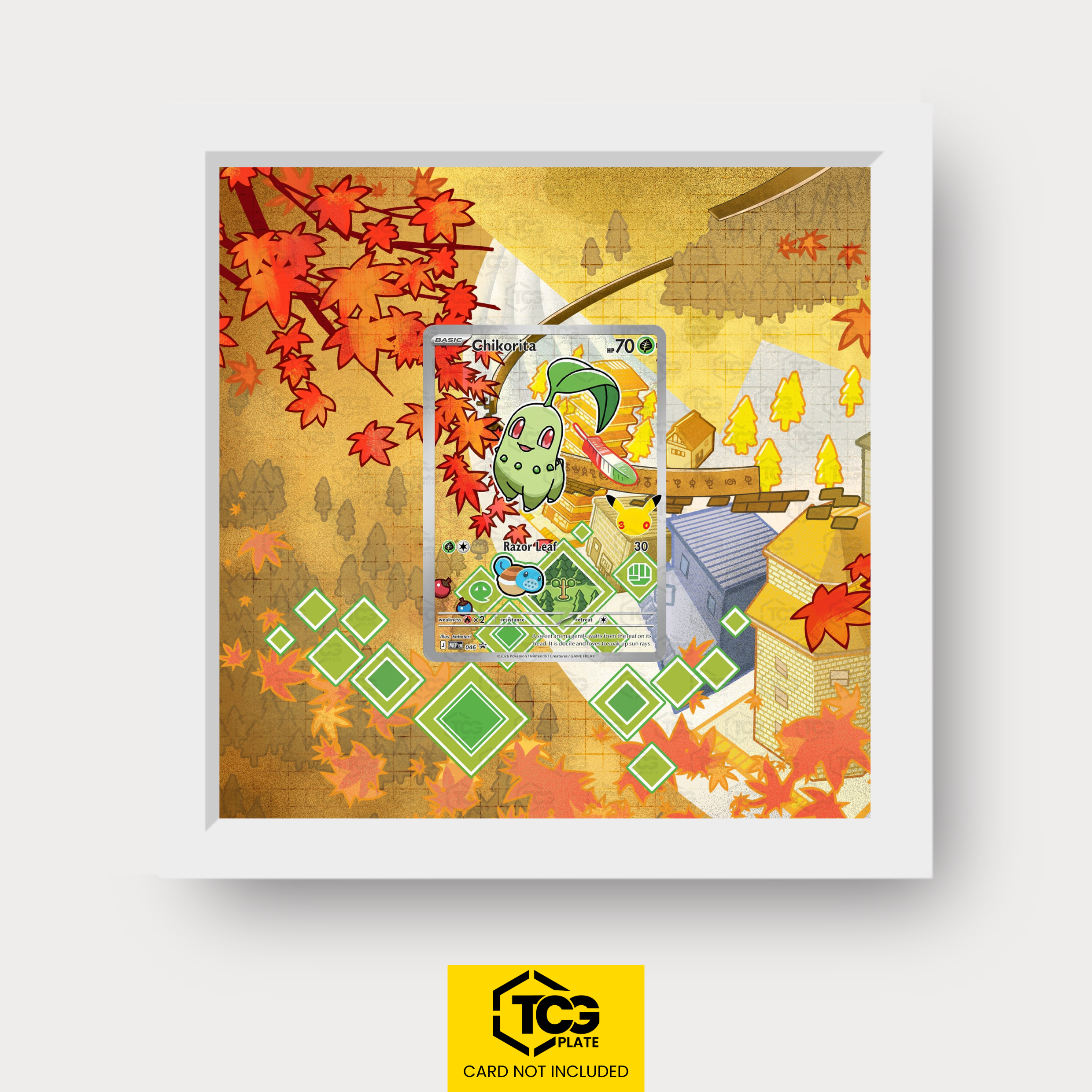 Frames® | Endivie MEP 046