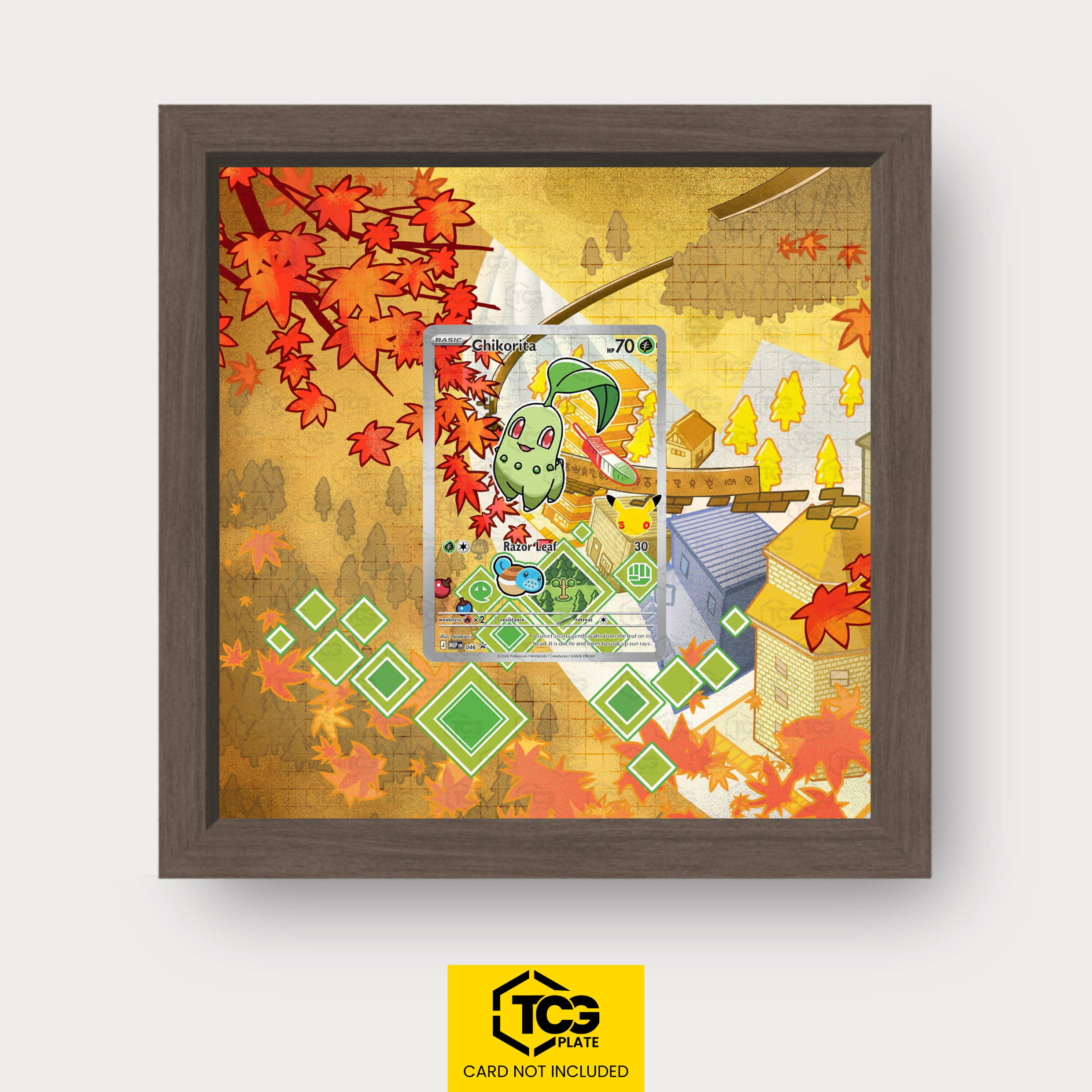Frames® | Endivie MEP 046