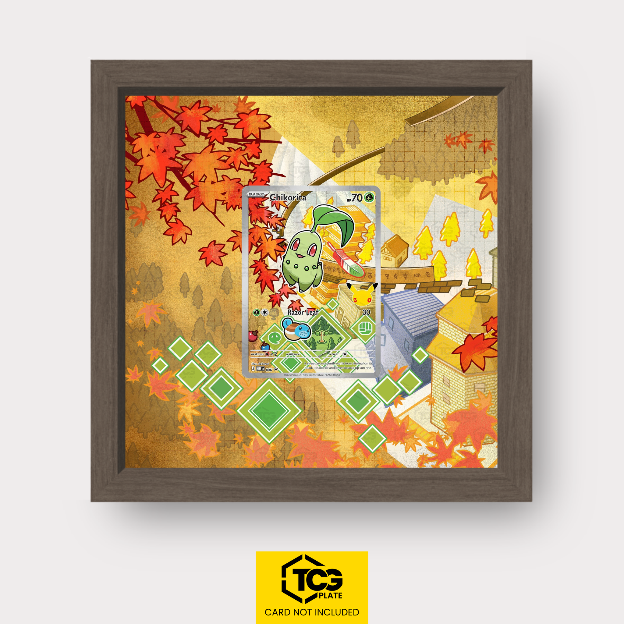 Frames® | Endivie MEP 046