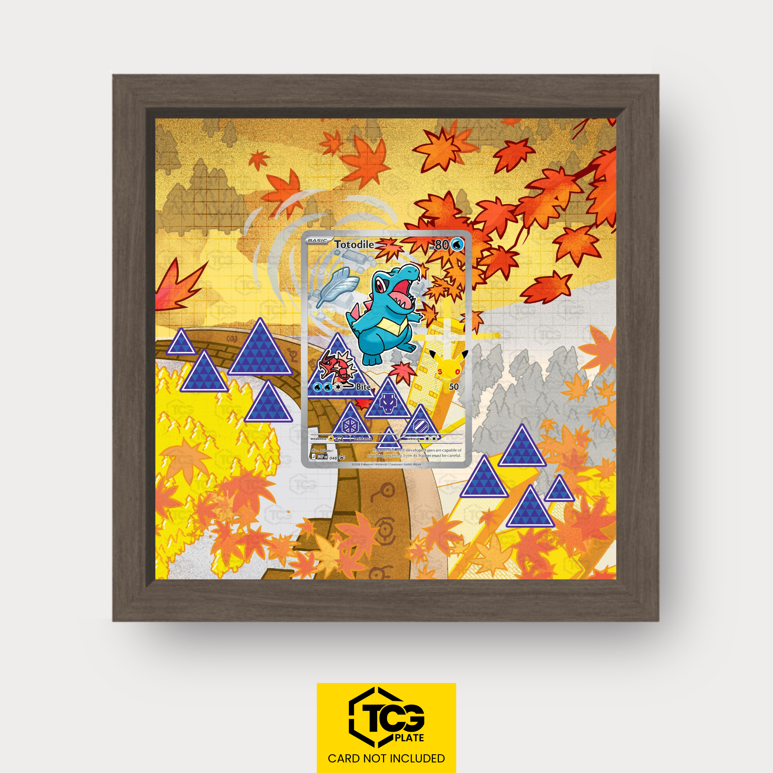Frames® | Karnimani MEP 048