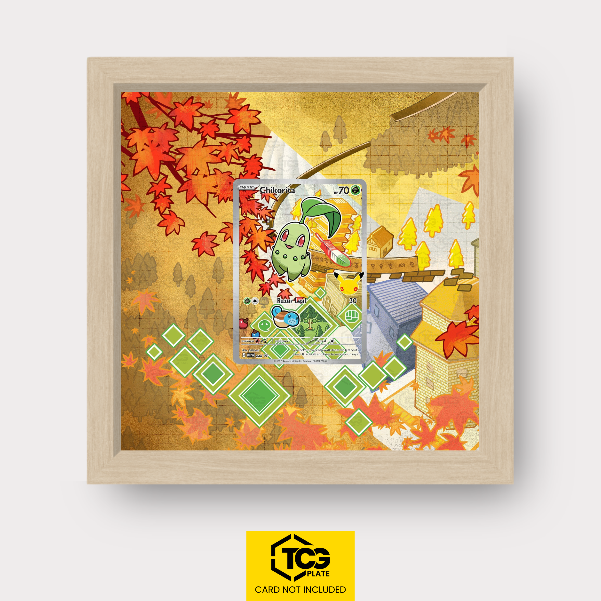 Frames® | Endivie MEP 046