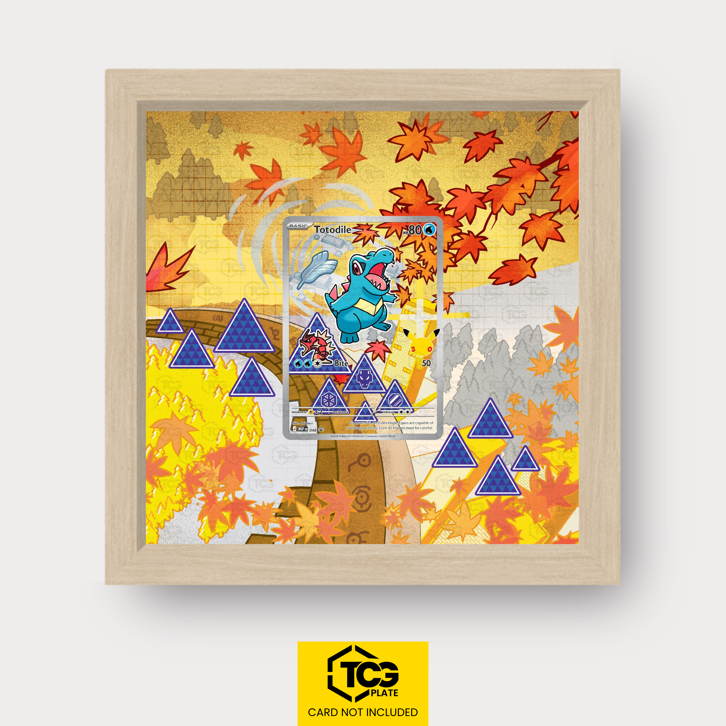 Frames® | Karnimani MEP 048