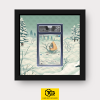 Frames® | Snorunt ASC 227