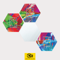 Geckarbor, Flemmli und Hydropi als Hex Shapes Bündel mit Spiegel Hexagon von TCGplate.
