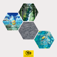 Alle drei Enton-Motive als Hex Shapes Bündel mit Filz Hexagon von TCGplate.