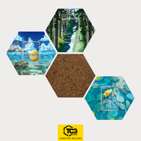 Alle drei Enton-Motive als Hex Shapes Bündel mit Kork Hexagon von TCGplate.