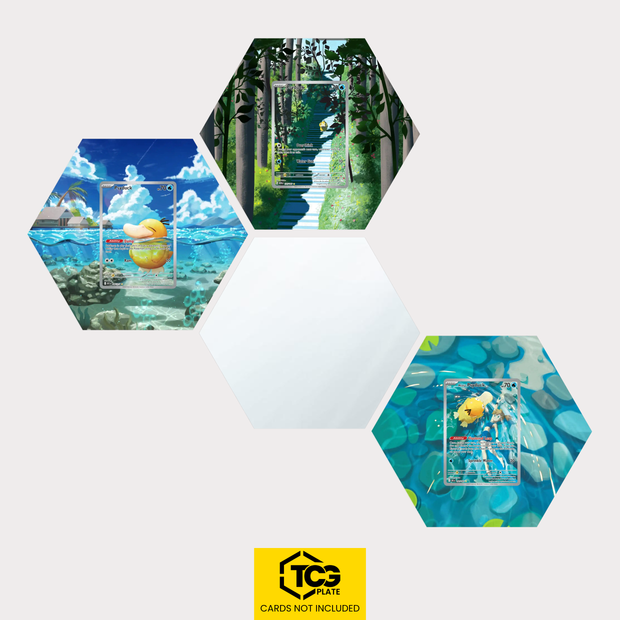 Hex Shapes® Bündel | Enton Bündel