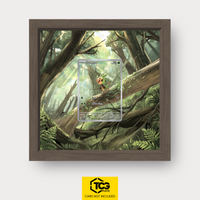 Frames® | Igamaro CRI 087