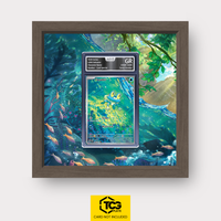 Frames® | Froakie CRI 088