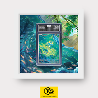 Frames® | Froakie CRI 088