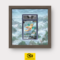 Frames® | Dragonite V EVS 192
