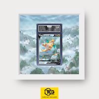 Frames® | Dragonite V EVS 192