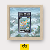 Frames® | Dragonite V EVS 192