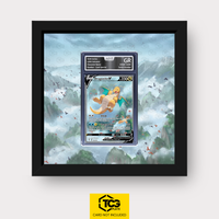 Frames® | Dragonite V EVS 192