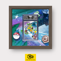 Frames® | Turtwig MEP 040