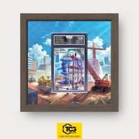 Frames® | Steelix PAR 208
