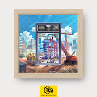 Frames® | Steelix PAR 208