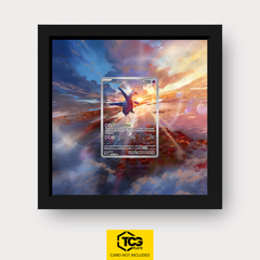 Frames® | Latios SSP 203