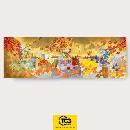 Acrylglas Display | Erste Partner Johto - tcgplate
