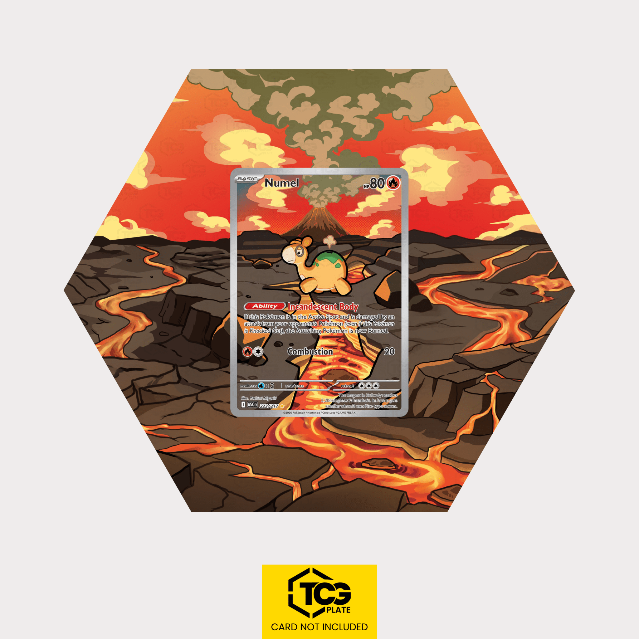 Camaub ASC 223 - Pokémon Extended Art Display | Hex Shapes® - tcgplate