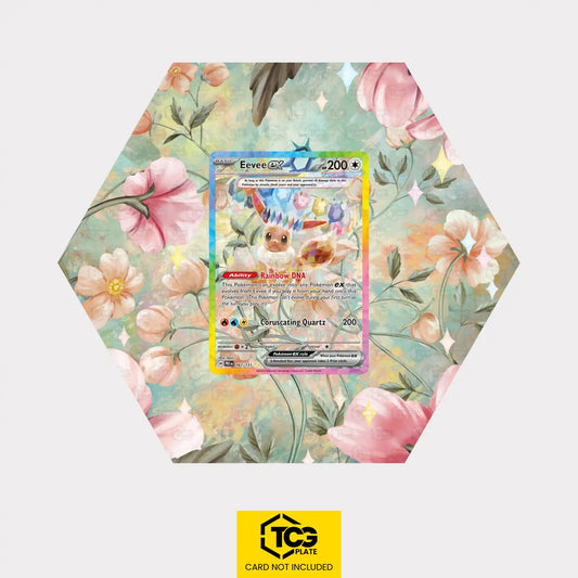 Evoli ex PRE 167 - Pokémon Extended Art Display | Hex Shapes® - tcgplate