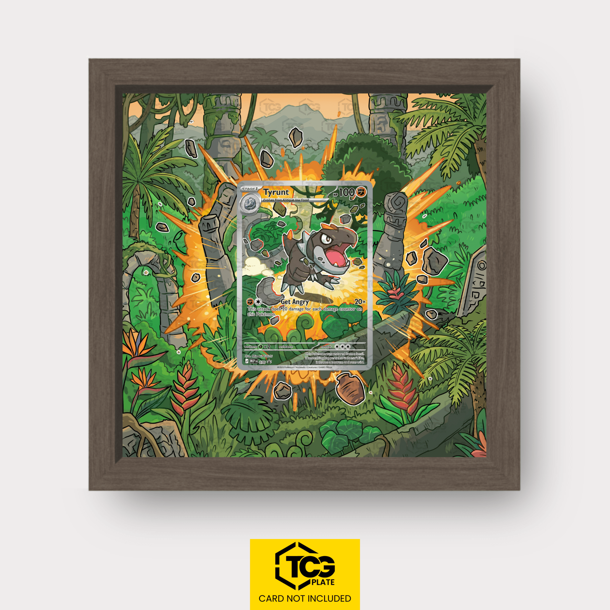 Frames® | Balgoras MEP 070 - tcgplate