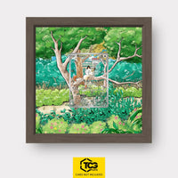 Meowth Pokémon TCG card in TCGplate Extended Art Display for collectors to showcase trading cards.