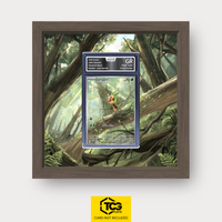 Frames® | Chespin CRI 087