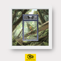 Frames® | Chespin CRI 087