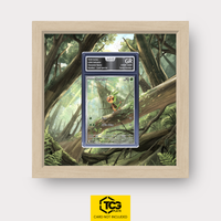 Frames® | Chespin CRI 087