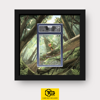 Frames® | Chespin CRI 087