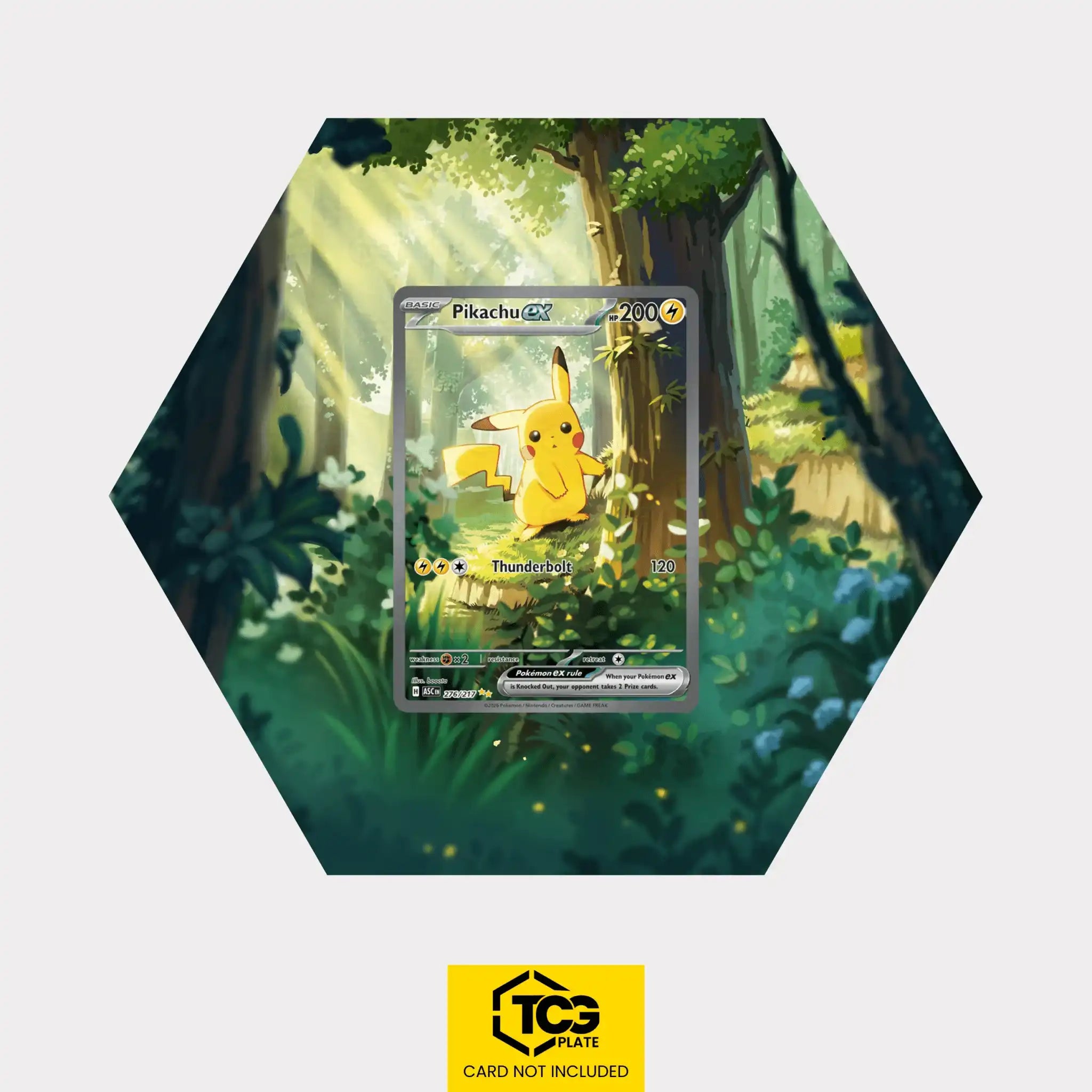 Pikachu ex ASC 276/217 Pokmon Extended Art Display | Hex Shapes tcgplate Pikachu ex ASC 276/217 Pokmon Extended Art Display | Hex Shapes tcgplate