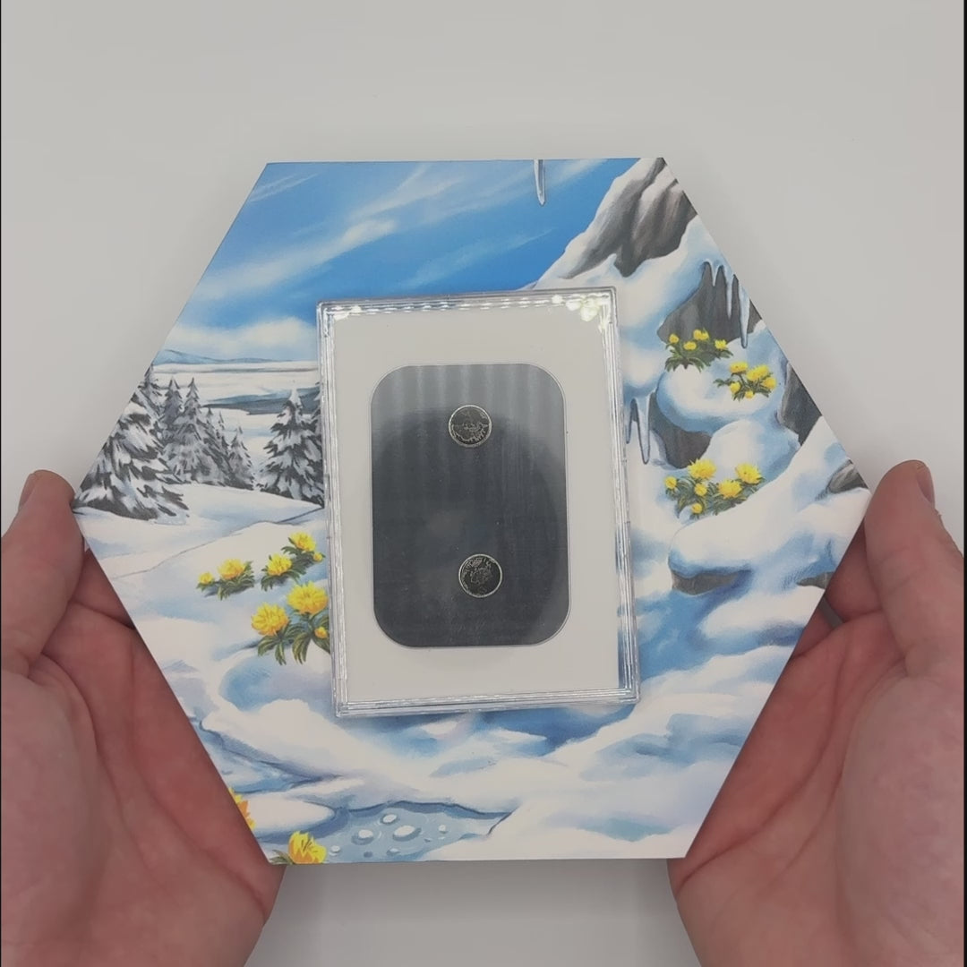 Plinfa PFL 098/094 – Pokémon Extended Art Display | Hex Shapes®